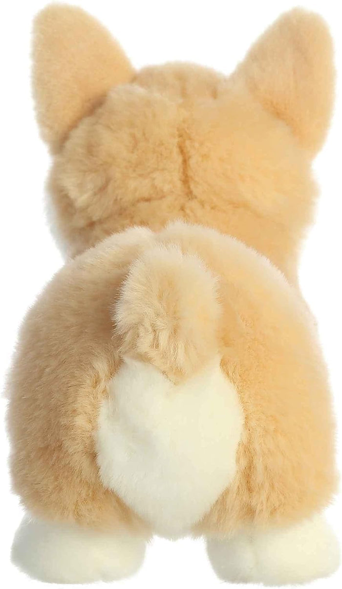Aurora: Pembroke Welsh Corgi Pup
