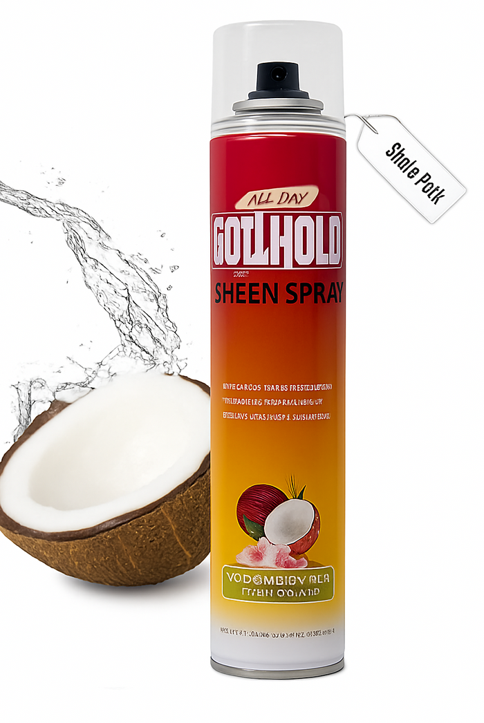 EBIN All Day Got Hold Sheen Spray 354ml