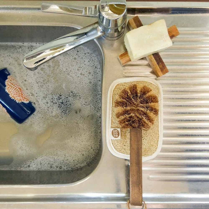 Ecomax Kitchen & Bathroom Loofah Scouring Pad - Twin Pack