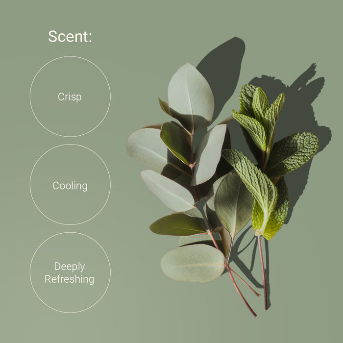 Eucalyptus & Spearmint Room & Body Mist