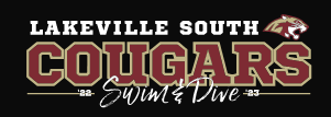 LS SWIM & DIVE CAR DECAL