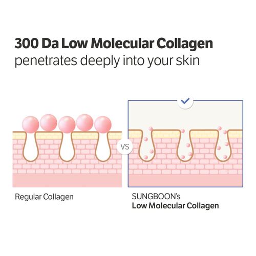 Sungboon Editor Deep Collagen Power Boosting Cream in Serum 30ml