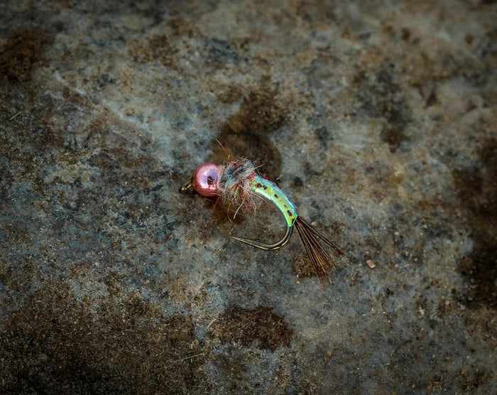 29374389879017 - Mossy Creek Fly Fishing