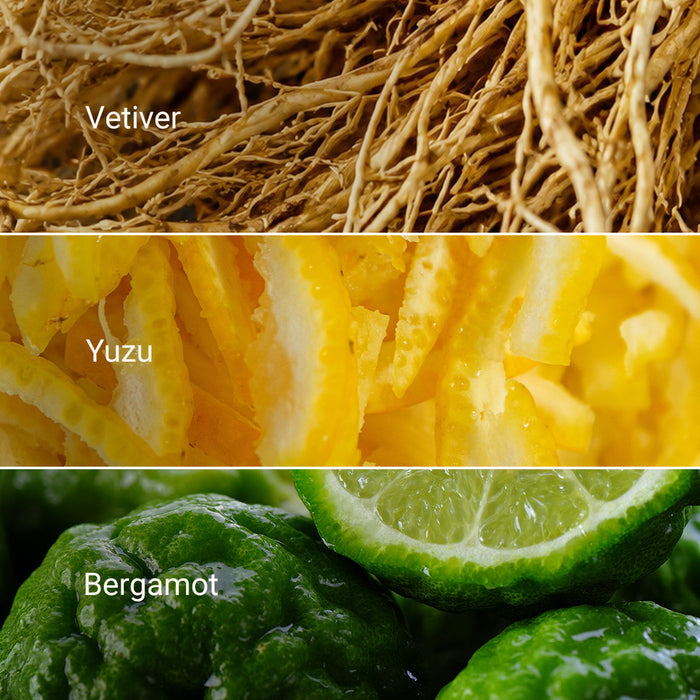 Yuzu & Vetiver Bar Soap