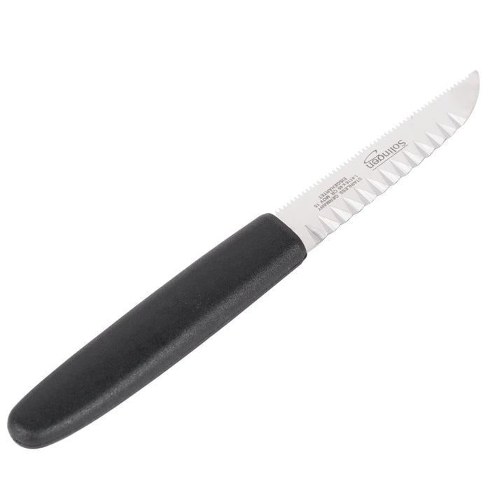 6 Piece garnishing Tool Kit 7.6153