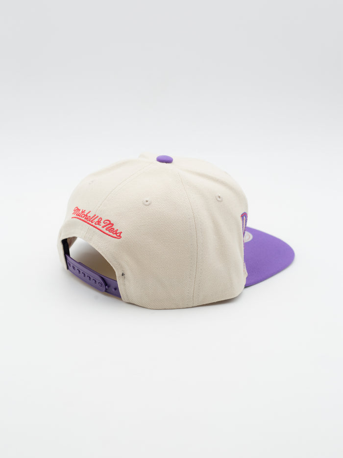 Across The Board Toronto Raptors HWC Snapback Cream