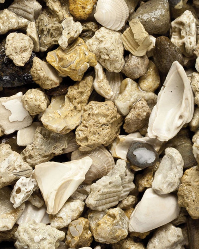 African Cichlid Mix Gravel 20 lb