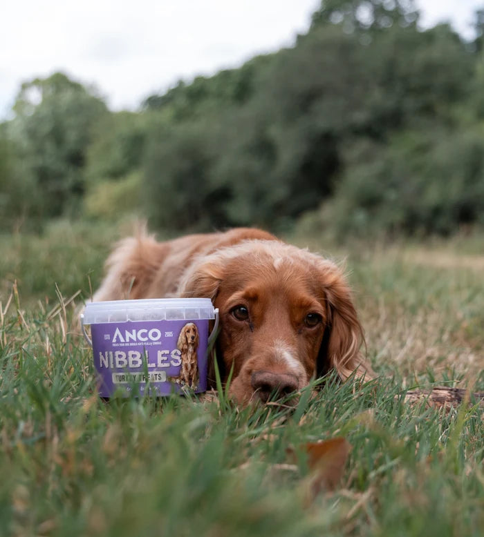 Anco Turkey Nibbles Dog Treats