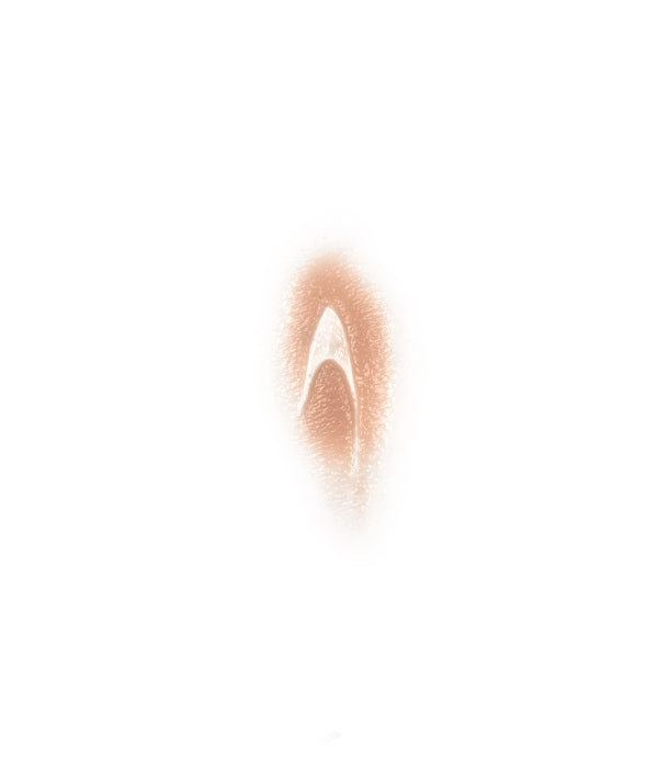 Animal Attack 1