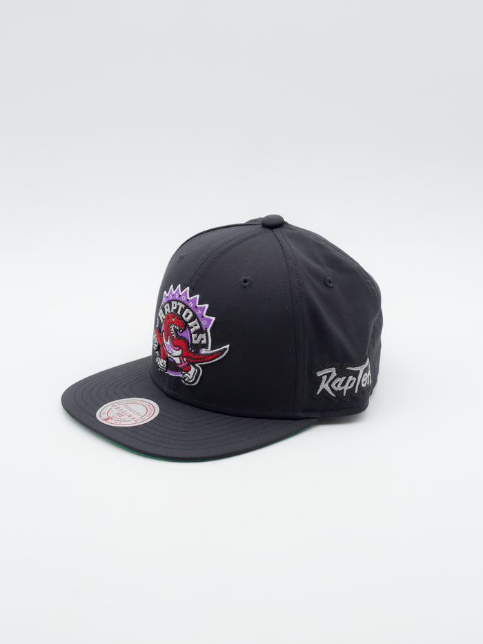 April Showers Toronto Raptors Snapback