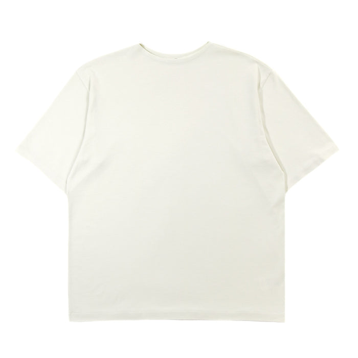 AURALEE LUSTER PLAITING BOAT NECK TEE IVORY PISTACHIO