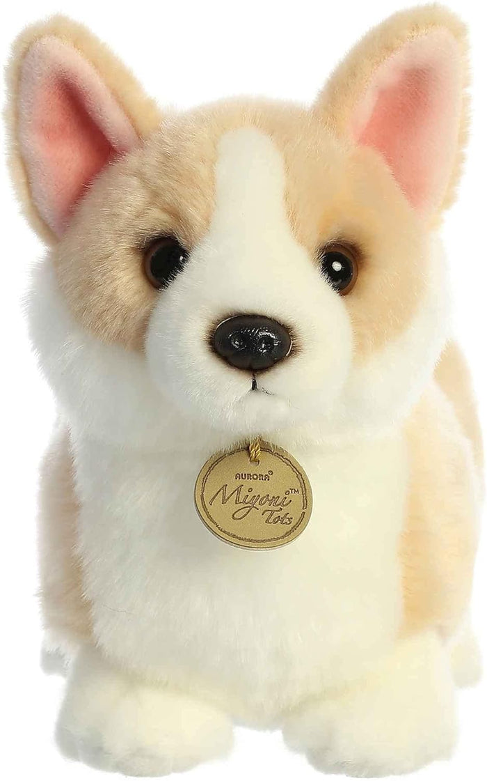 Aurora: Pembroke Welsh Corgi Pup