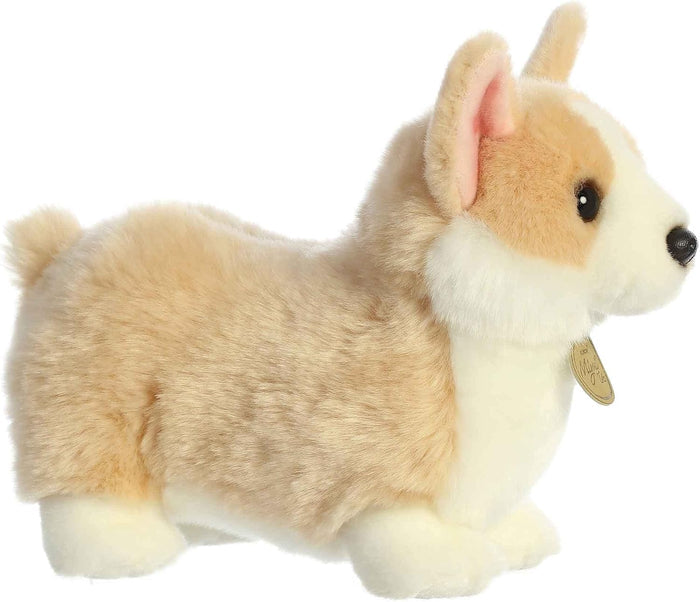 Aurora: Pembroke Welsh Corgi Pup