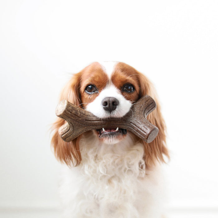 Benebone Flavored Stick Tough Dog Chew Toy