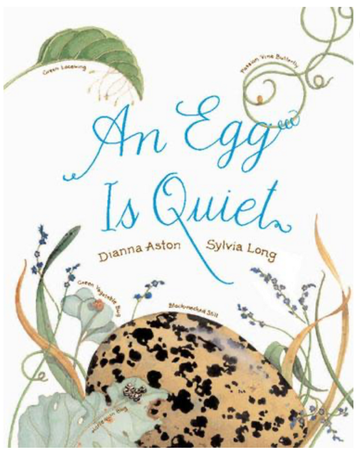 Chronicle: Egg Is Quiet (HC)