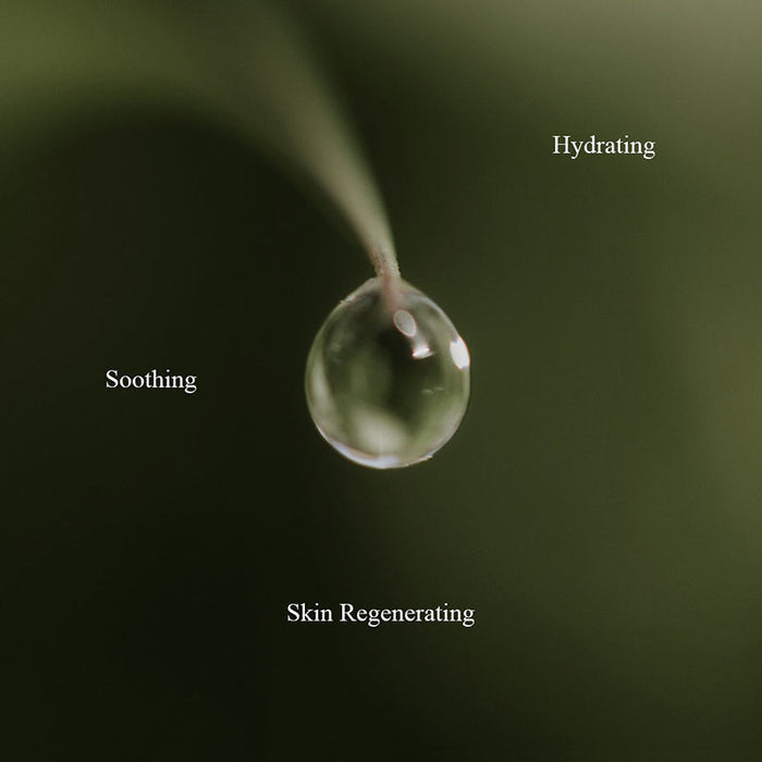 Cica Skin Calming Toner
