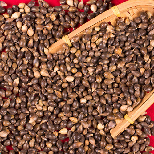 Solanum nigrum & Coicis Semen Seeds