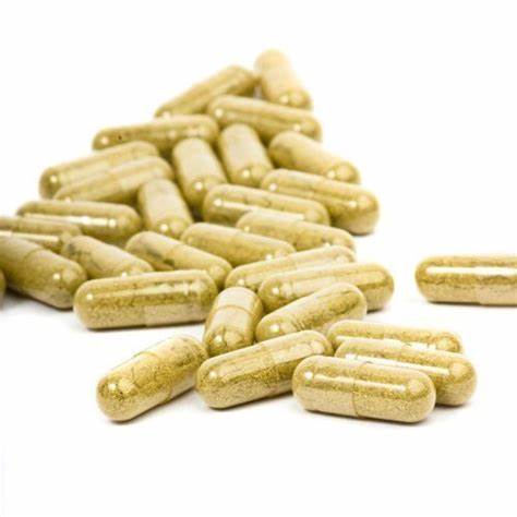 Cordyceps extract Capsules (organic)