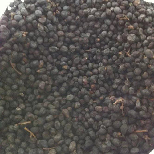Cyclocarya paliurus & Wheel wingnut Seeds