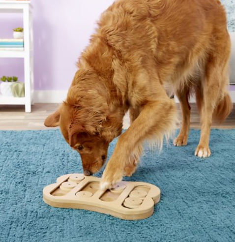 Ethical Products Spot Seek-A-Treat Shuffle Bone