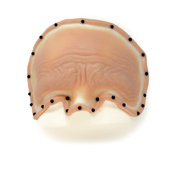 Female Old Age Forehead