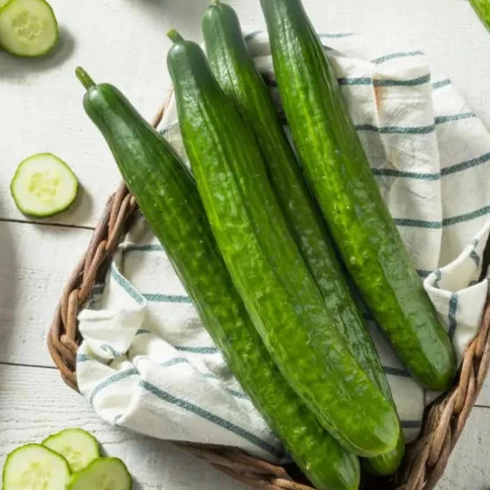 Fragrance Bulk Cucumber 500 mls