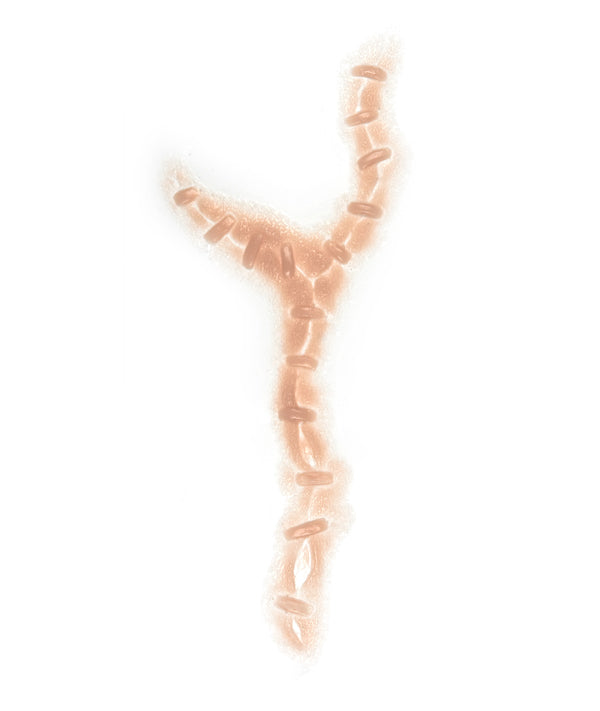 Frankenstein Stitches 9