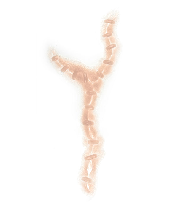 Frankenstein Stitches 9