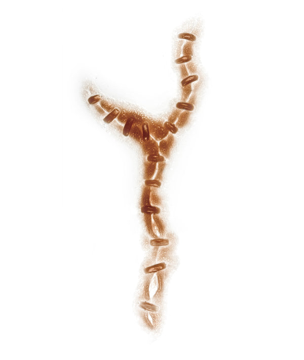 Frankenstein Stitches 9