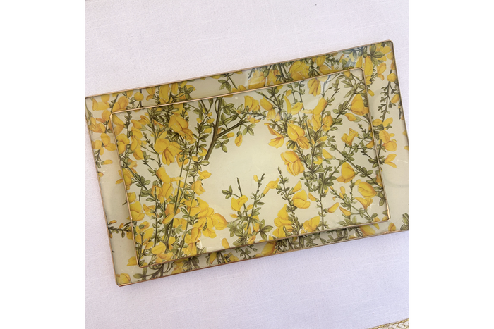 Ginestra Rectangle