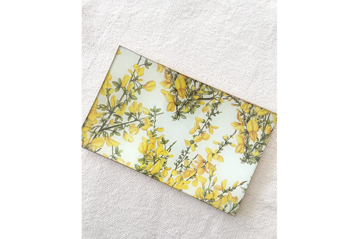 Ginestra Rectangle