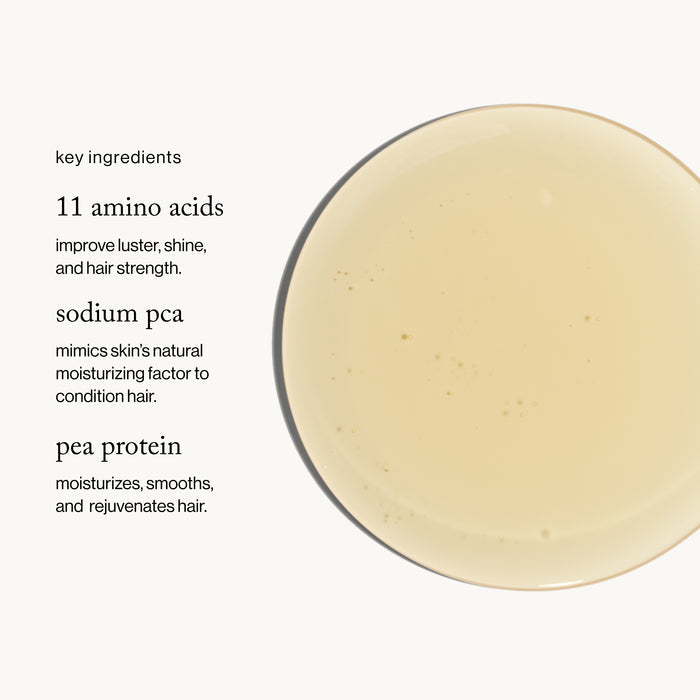 Goop-Goopglow Restore + Shine Amino Acid Shampoo-Hair-aminoacidshampoo_imgCarousel_ingredients-The Detox Market |
