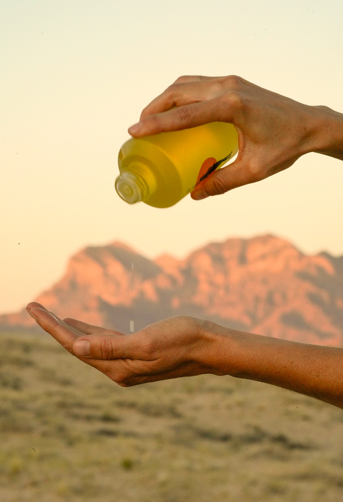 Wonder Valley-Hinoki Body Oil-Body-WV_HINOKI-BODY-OIL_CB3-The Detox Market |