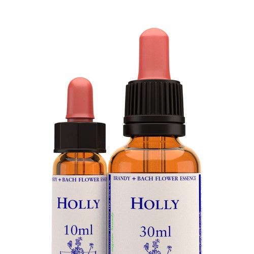 Holly