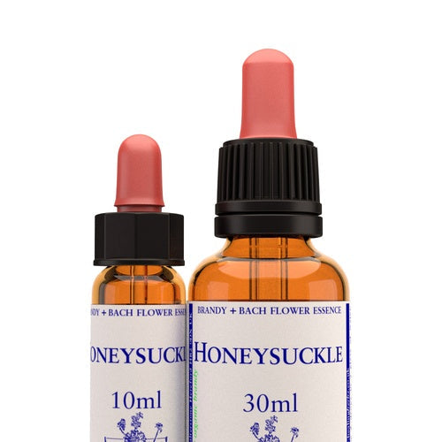 Honeysuckle