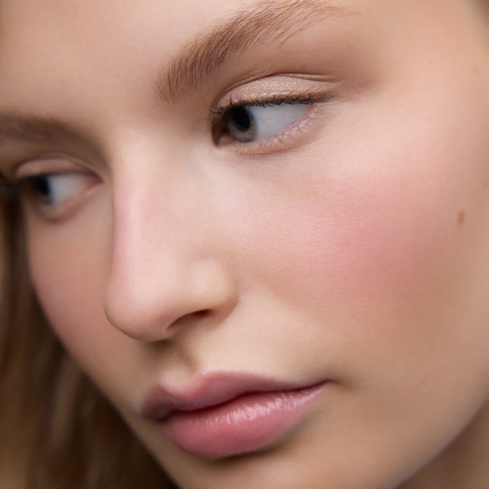 Wonderblush-Le Regard Eye & Brow Trio-Makeup-LeRegard-Eyebrows-ModelLightSkin_1_7d6d69b9-938d-44e8-b20c-3760c82a291b-The Detox Market |