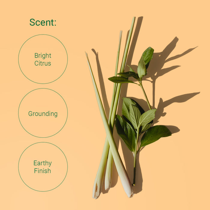 Lemongrass & Patchouli Room & Body Mist