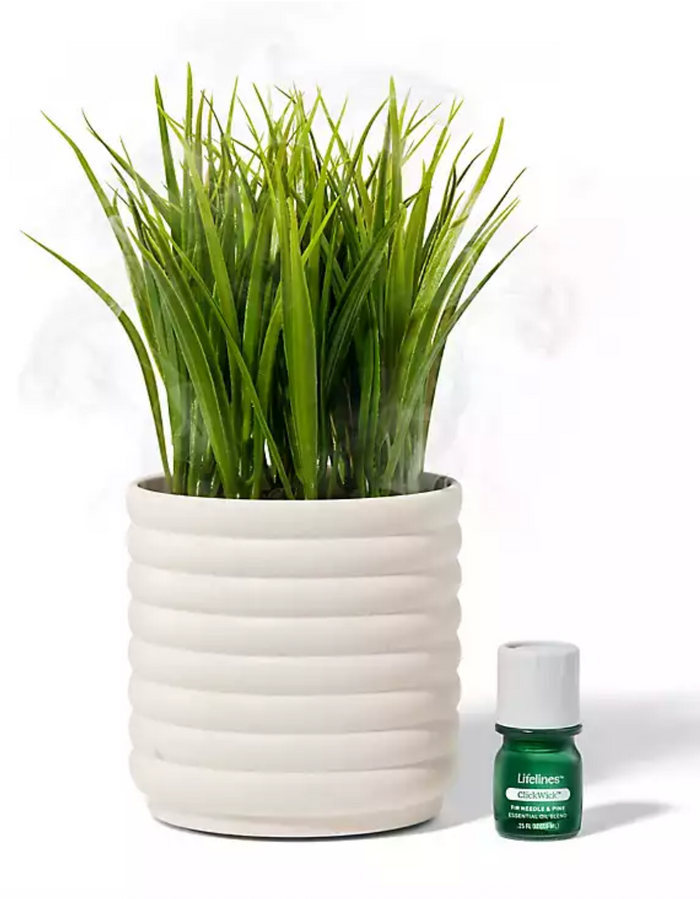 Lifelines: Planter Diffuser - Bubble Grass Plant