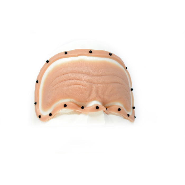 Male Old Age Forehead 2