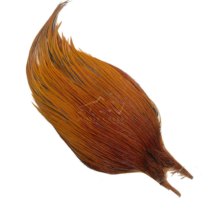 35976051261673 - Mossy Creek Fly Fishing
