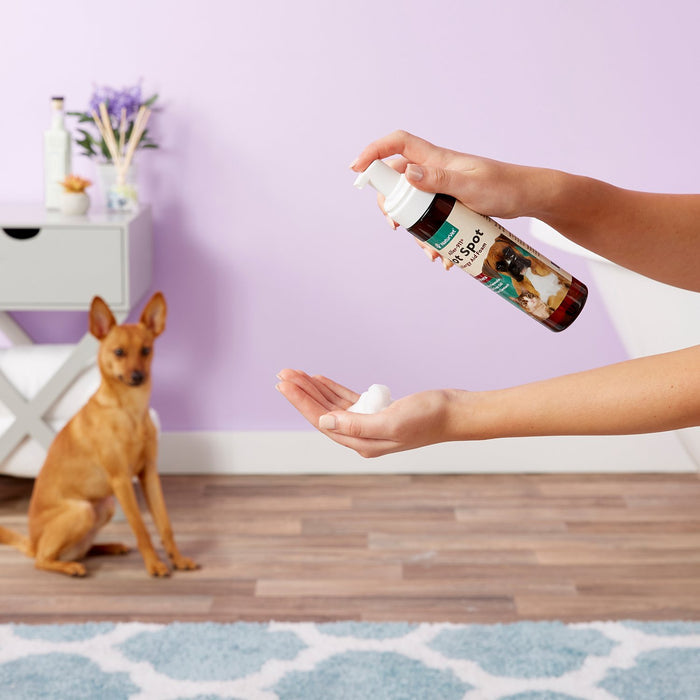 NaturVet Aller-911 Allergy Aid Hot Spot Plus Aloe Vera Dog & Cat Foam