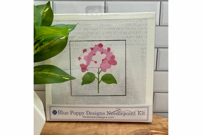 Pink Hydrangea