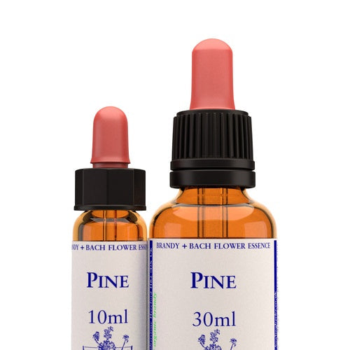 Pine