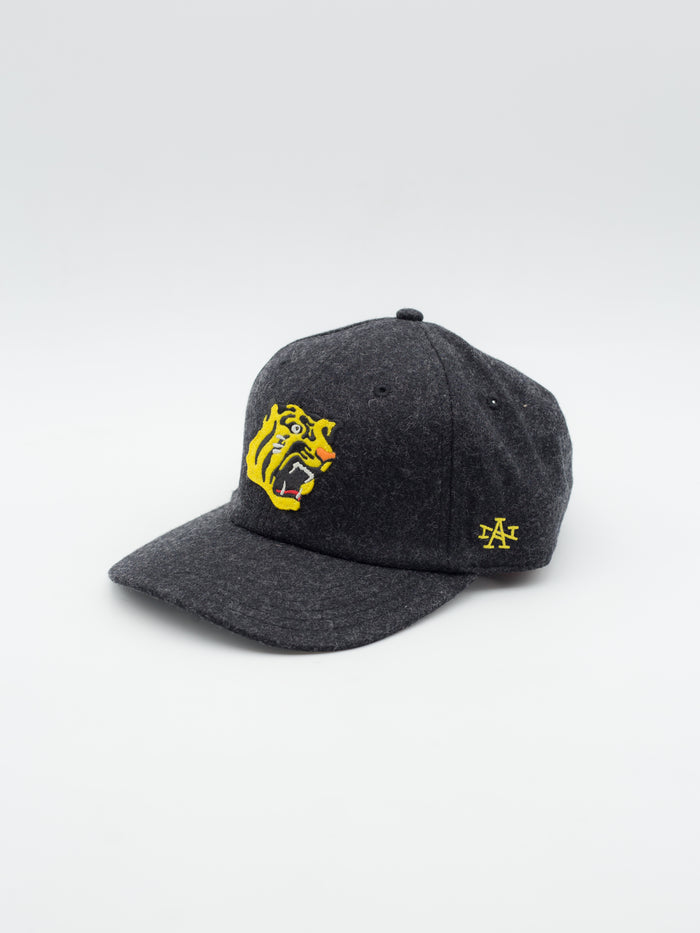Sinclair Yosemite National Trucker
