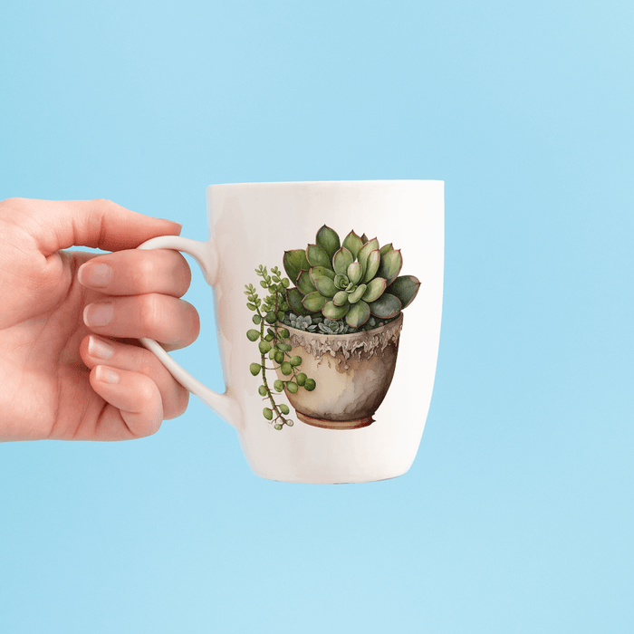 Succulents Growing Design - HeatPressNation