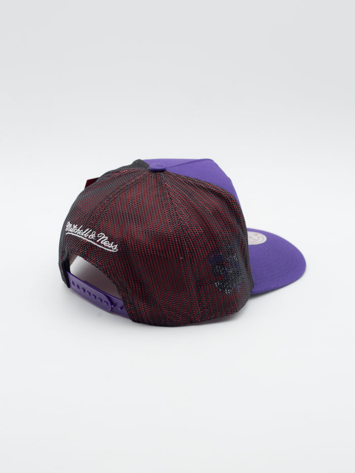 Tremor Trucker Toronto Raptors Purple