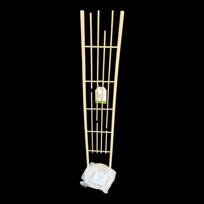 Vanessa's Indoor Trellises