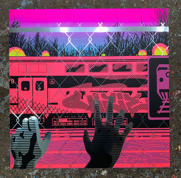 Vizie: Hanging On The Fence / Chrome Paper variant (RAER)