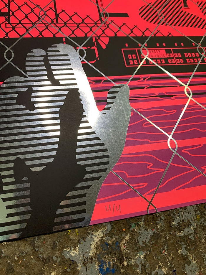 Vizie: Hanging On The Fence / Chrome Paper variant (RAER)
