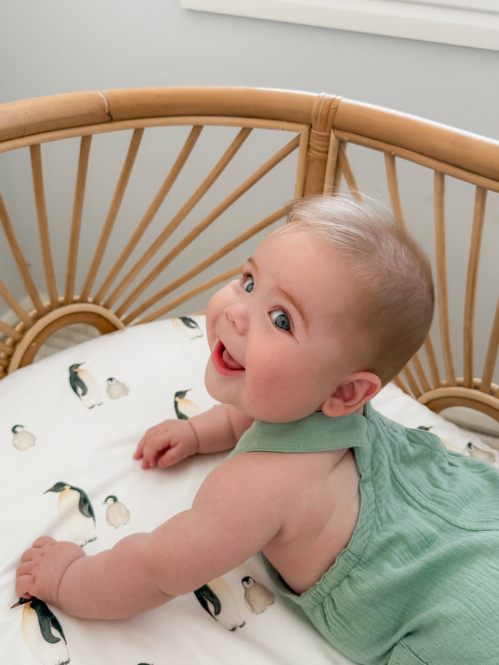 Waterproof Co Sleeper Fitted Sheet - Crosby